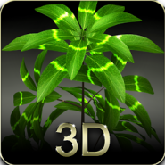 My 3D plant