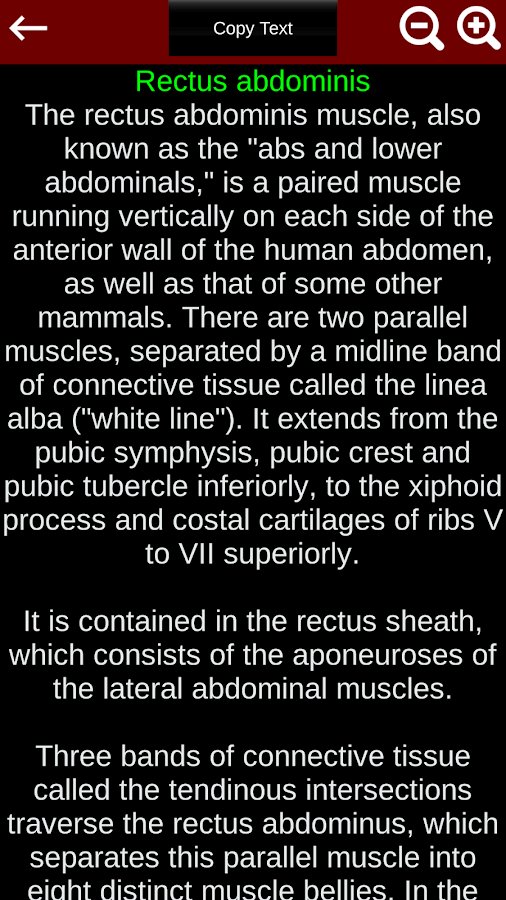 8-Muscular System 3D ID:anatomy