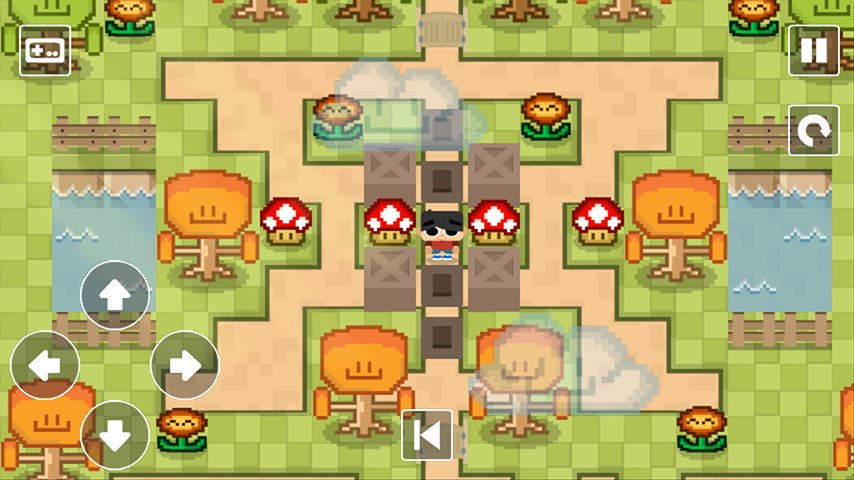 7-Sokoban Land Premium