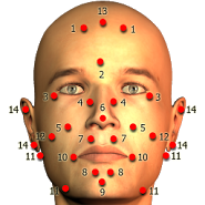 Acupressure body