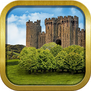 Blackthorn Castle