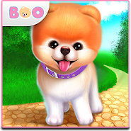 Boo - The World&ID:39;s Cutest Dog