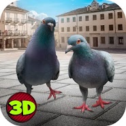 City Bird Pigeon Simulator 3D