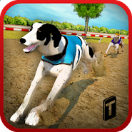 Dog Race & Stunts 2016