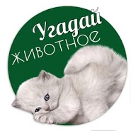 Guess the animal on the photo