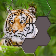 Hexa Jigsaw Puzzle™