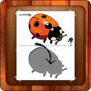 Kids Puzzles