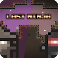 Last Ninja