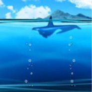 My Ocean Water