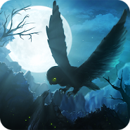 Owl&ID:039;s Midnight Journey