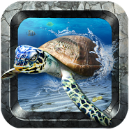 S4 Ocean Discovery