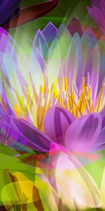 Abstract,Flowers,Bright,Background,Colorful,Colourful