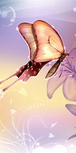 Abstract,Flowers,Flight,Patterns,Butterfly