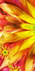 Abstract,Flowers,Petals,Colourful,Background,Colorful