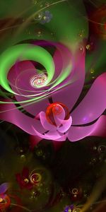 Abstract,Flowers,Shine,Light,Bright,Form,Colorful,Colourful,Forms