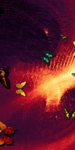 Abstract,Photoshop,Art,Butterflies