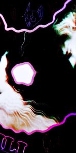 Abstract,Shine,Light,Muzzle,Cat,Picture,Drawing,Neon