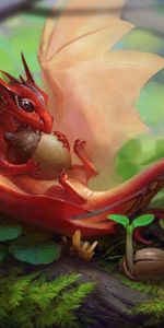 Acorn,Dragon,Food,Fantastic,Art,Fantasy