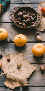 Acorns,Chestnuts,Miscellanea,Leaves,Tangerines,Miscellaneous,Autumn