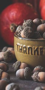 Acorns,Miscellanea,Miscellaneous,Bowl,Brown,Fruit