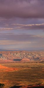 After The Rain,Nature,Desert,Rainbow