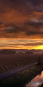 Agriculture,Nature,Sunset,Horizon,Road,Field