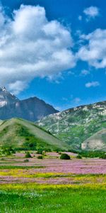 Alai,Kyrgyzstan,Nature,South