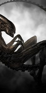 Alien,Cinema