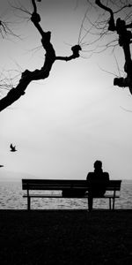 Alone,Silhouette,Miscellanea,Lonely,Miscellaneous,Loneliness,Bench