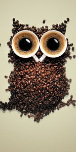 Animals,Art,Coffee,Owl,Funny