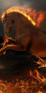 Animals,Art,Fire,Horses