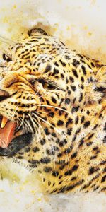 Animales,Depredador,Leopardo,Arte