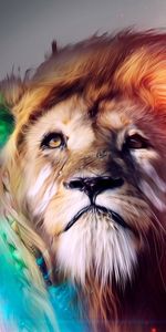 Animaux,Lions,Photo Artistique