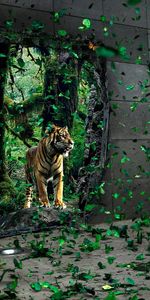 Animaux,Photo Artistique,Tigres