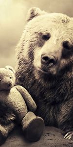 Animals,Art Photo,Toys,Bears