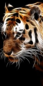 Animals,Art,Tigers