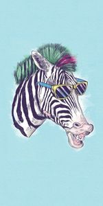 Animals,Background,Zebra,Funny