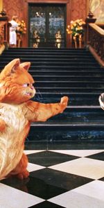 Animales,Gatos,Garfield,Cine