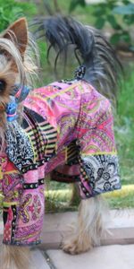 Animales,Perro,Disfraz,Traje,Cachorro,Yorkshire Terrier