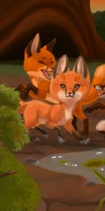 Animales,Fauna Silvestre,Vida Silvestre,El Juego,Arte,Zorro,Juego