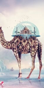 Animals,Giraffes,Pictures,Fantasy