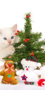 Новый Год (New Year),Животные,Праздники,Рождество (Christmas Xmas),Кошки (Коты Котики)