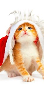 Animals,Holidays,New Year,Postcards,Cats,Christmas Xmas