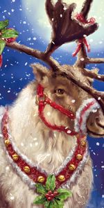 Animals,Holidays,Snow,Deers,Pictures,Christmas Xmas