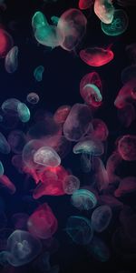 Jellyfish,Hétéroclite,Lueur,Animaux,Briller,Multicolore,Monde Sous Marin