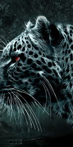 Animals,Leopards