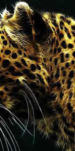 Animales,Leopardos,Arte