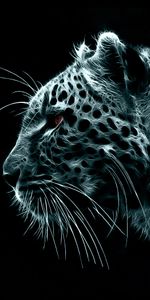 Animales,Arte,Leopardos