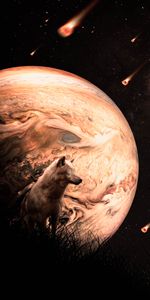 Animals,Meteors,Wolf,Meteora,Universe,Planet