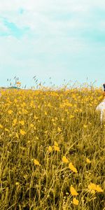 La Langue Est Sortie,Langue Saillante,Domaine,Chéri,Fleurs,Champ,Agréable,Animaux,Chien